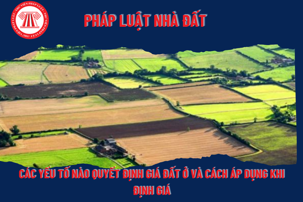 Pháp Luật Nhà Đất