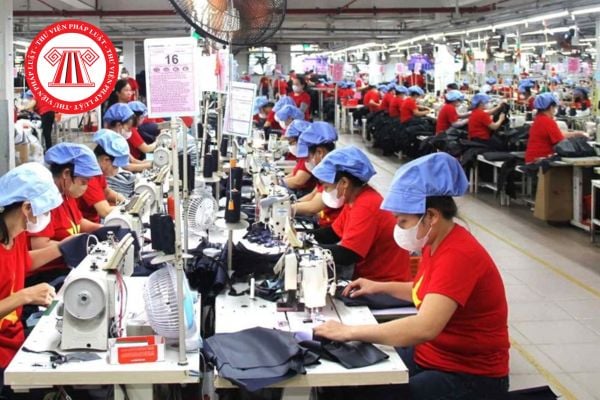 Pháp Luật Nhà Đất