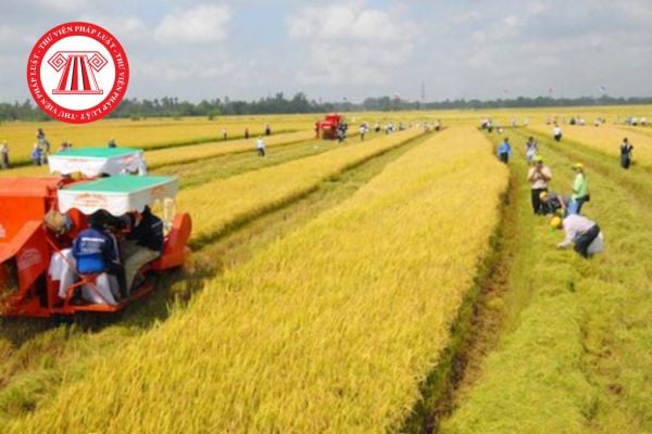 Pháp Luật Nhà Đất