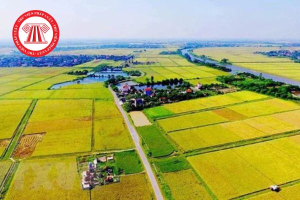 Pháp Luật Nhà Đất