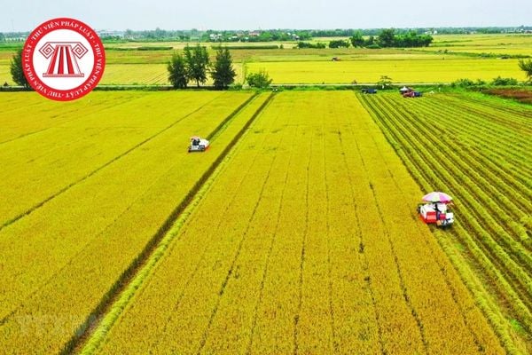 Pháp Luật Nhà Đất