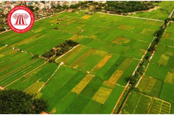 Pháp Luật Nhà Đất