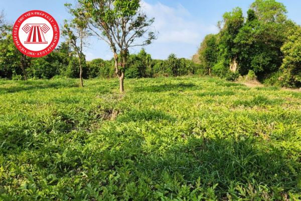 Pháp Luật Nhà Đất