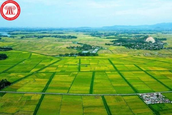 Pháp Luật Nhà Đất