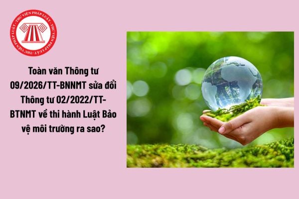 Pháp Luật Nhà Đất