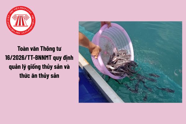 Pháp Luật Nhà Đất