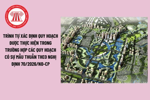 Pháp Luật Nhà Đất