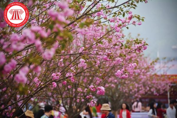 Pháp Luật Nhà Đất