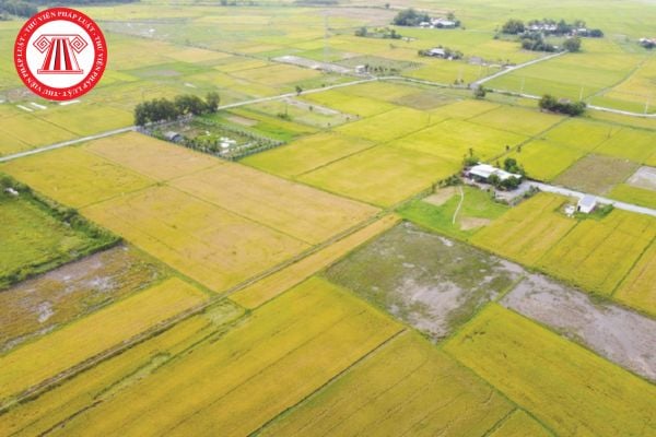 Quyết định 11/2026/QĐ-UBND Quy định về bồi thường, hỗ trợ, tái định cư khi Nhà nước thu hồi đất tại TPHCM thay thế những Quyết định nào? 