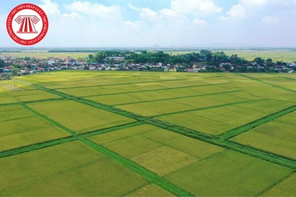 Pháp Luật Nhà Đất
