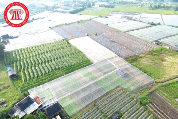 Pháp Luật Nhà Đất