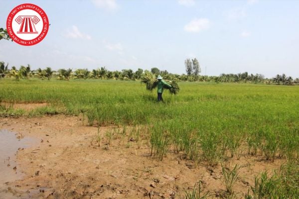 Pháp Luật Nhà Đất