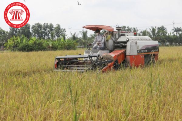Pháp Luật Nhà Đất