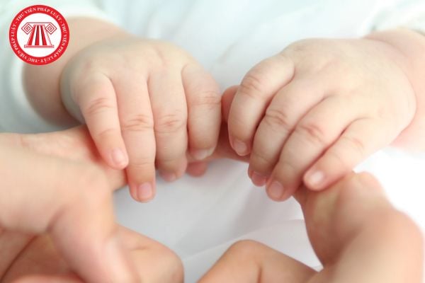Pháp Luật Nhà Đất
