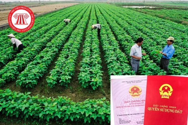 Hướng dẫn tính tiền sử dụng đất khi chuyển đất nông nghiệp sang đất ở năm 2026  theo Nghị định 50 2026 mới nhất? 