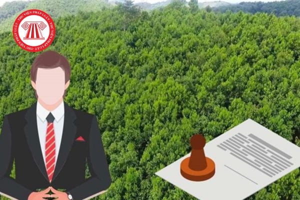 Tổng hợp trường hợp giao đất không thu tiền sử dụng đất năm 2026 đầy đủ nhất?