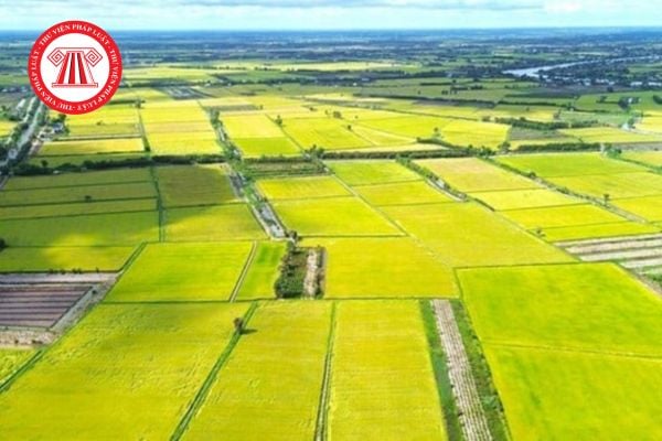 Bảng giá đất nông nghiệp tỉnh Đồng Nai năm 2026 mới nhất? 