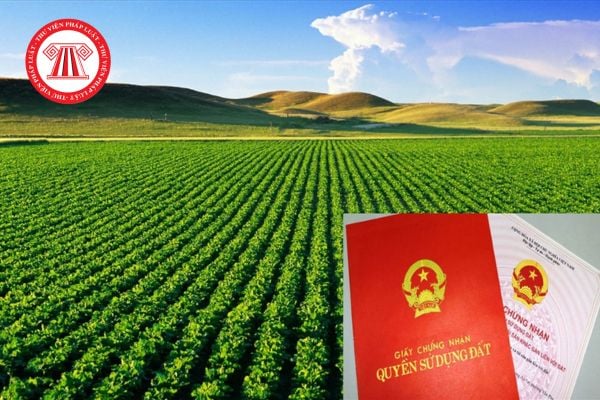 Chuyển đất nông nghiệp lên đất thổ cư năm 2026 cần dựa vào những căn cứ nào? 