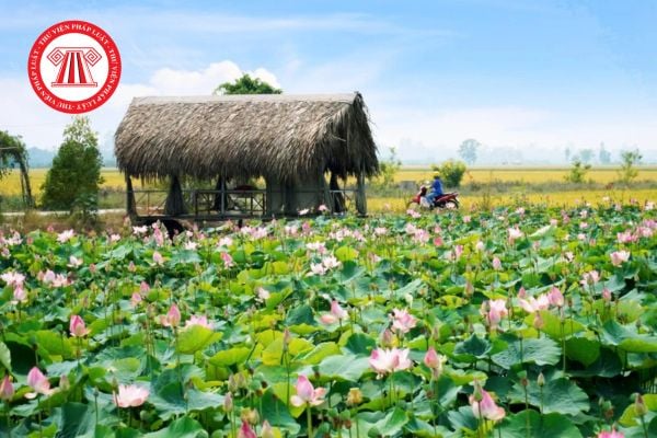 Quyết định 51/2026/QĐ-UBND hạn mức công nhận đất ở và hạn mức giao đất ở tại Đồng Tháp mới nhất? 