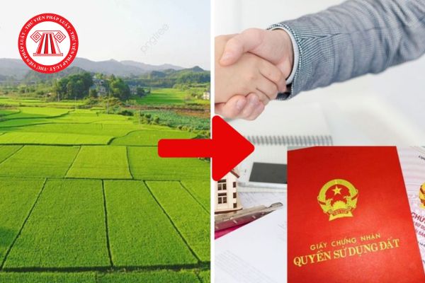 Tiền Chuyển đất nông nghiệp lên đất thổ cư năm 2026 có gì thay đổi? 