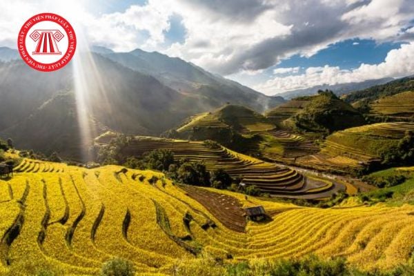 Sở hữu đất đai là gì? Quyền của Nhà nước là đại diện chủ sở hữu về đất đai năm 2026 cụ thể ra sao? 
