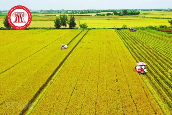 Hạn mức nhận chuyển quyền sử dụng đất nông nghiệp của cá nhân tỉnh Đồng Nai theo Quyết định 91 mới nhất? 