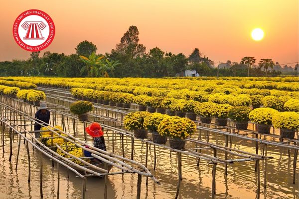 Bảng giá đất Đồng Tháp 2026 do ai ban hành theo quy định mới nhất?  