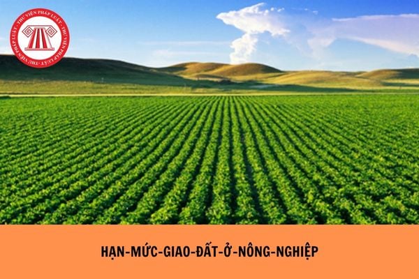 Pháp Luật Nhà Đất
