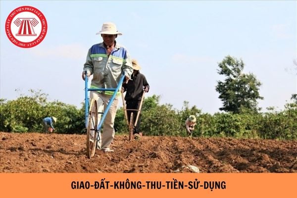 Pháp Luật Nhà Đất