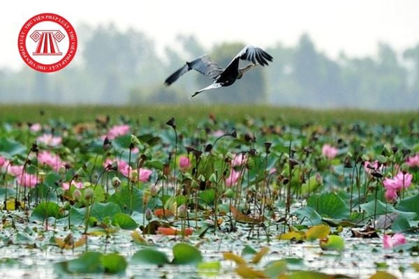 Trọn bộ Bảng giá đất Đồng Tháp áp dụng từ 01/01/2026 được áp dụng cho các trường hợp nào theo quy định mới nhất? 