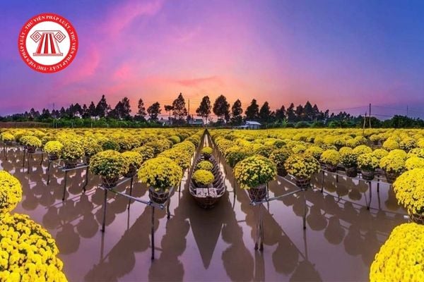 Những yếu tố nào ảnh hưởng tới giá đất trong Bảng giá đất nông nghiệp tỉnh Đồng Tháp năm 2026? 
