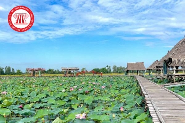 Hạn mức nhận chuyển quyền sử dụng đất nông nghiệp của cá nhân năm 2026  tại Đồng Tháp theo Quyết định 45 mới nhất? 