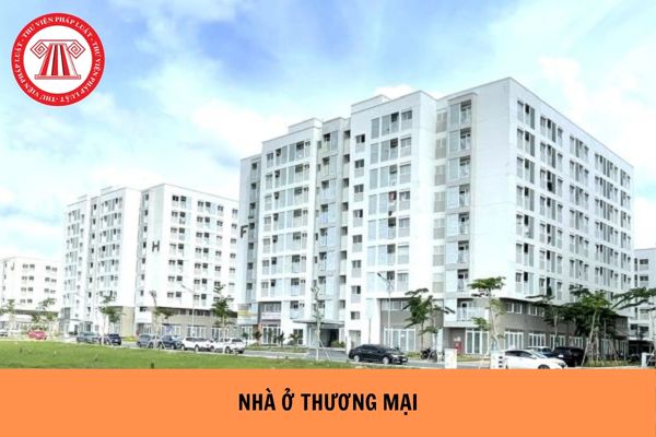 Pháp Luật Nhà Đất