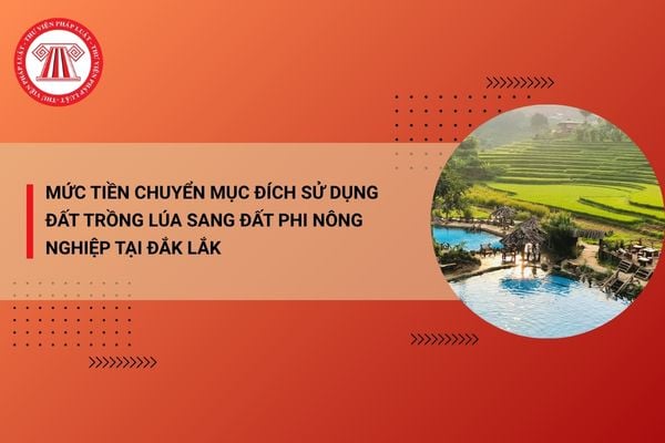Quyết định 47/2026/QĐ-UBND Mức tiền chuyển mục đích sử dụng đất trồng lúa sang đất phi nông nghiệp tại Đắk Lắk năm 2026 mới nhất? 