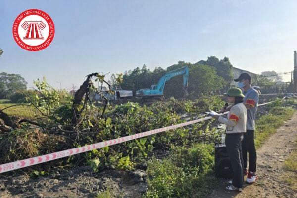 Mẫu Quyết định cưỡng chế kiểm đếm bắt buộc mới nhất năm 2026 Mẫu số 46 Nghị định 151?  