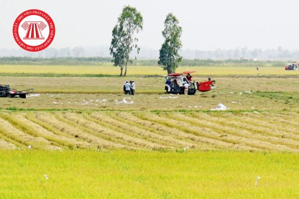 Khiếu nại quyết định thu hồi đất, quyết định cưỡng chế năm 2026 được quy định như thế nào? 
