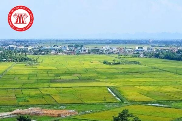 Quy định về Bồi thường, hỗ trợ đối với cây trồng hàng năm, cây trồng lâu năm khi thu hồi đất tại Nghệ An mới nhất? 