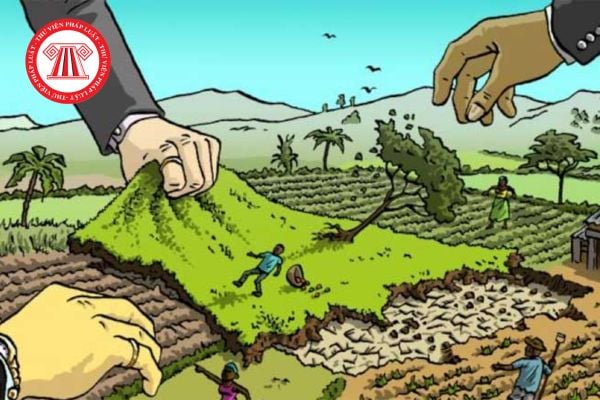Trình tự thủ tục thu hồi đất do vi phạm pháp luật đất đai mới nhất năm 2026