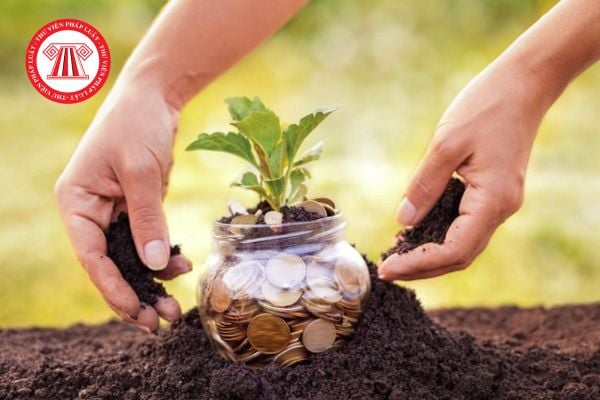 Diện tích tính tiền thuê đất được quy định như thế nào?