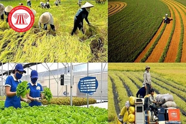 Trình tự, thủ tục, hồ sơ khai thuế sử dụng đất nông nghiệp từ 14/2/2026 mới nhất? 