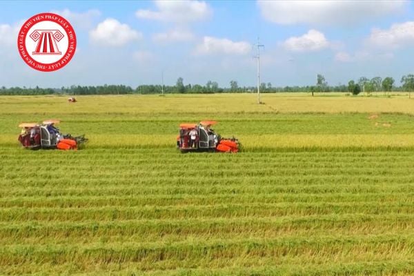Cách tính thuế sử dụng đất nông nghiệp theo quy định mới nhất năm 2026? 