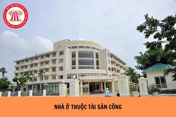 Pháp Luật Nhà Đất