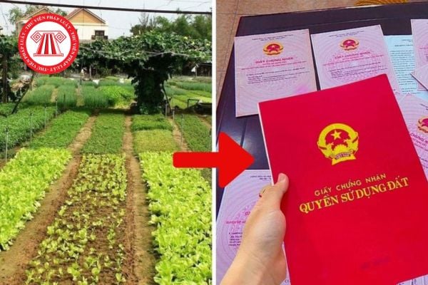 Pháp Luật Nhà Đất