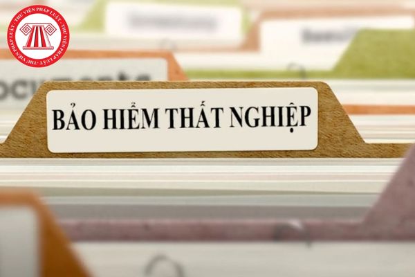 Pháp Luật Nhà Đất