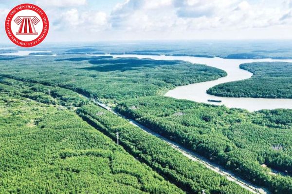 Pháp Luật Nhà Đất