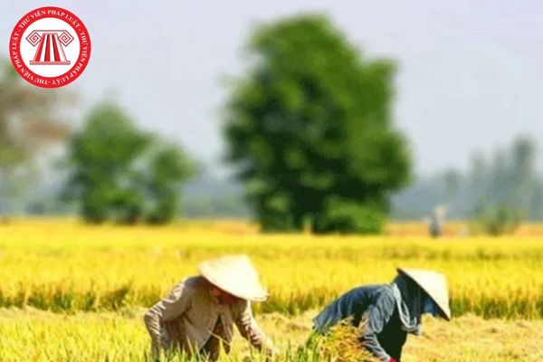 Pháp Luật Nhà Đất