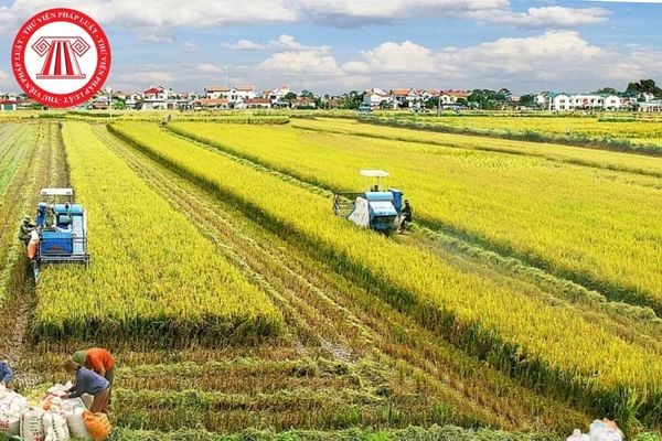Pháp Luật Nhà Đất