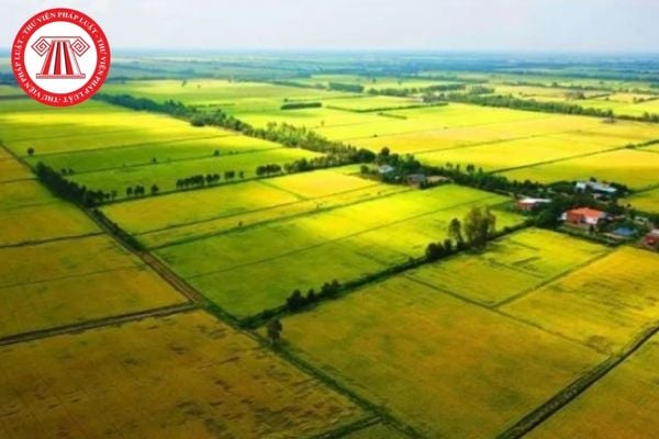 Pháp Luật Nhà Đất