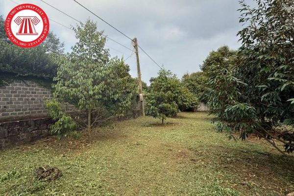 Pháp Luật Nhà Đất
