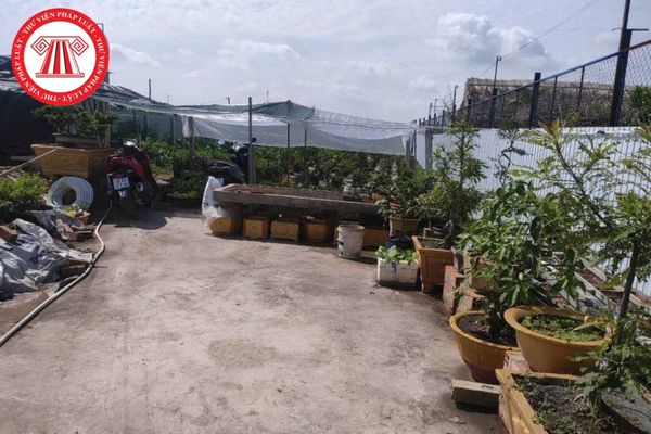 Pháp Luật Nhà Đất